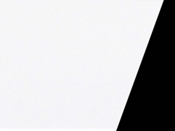 410 | alb / negru mat